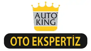 Ekspertiz Bul